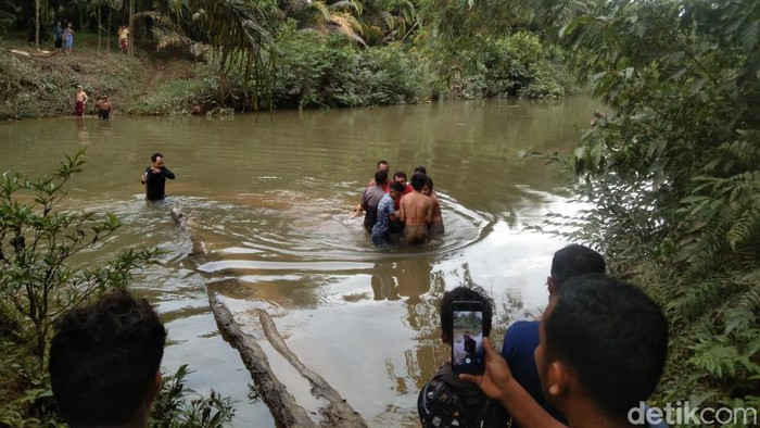 Proses evakuasi korban wanita tewas diterkam buaya.