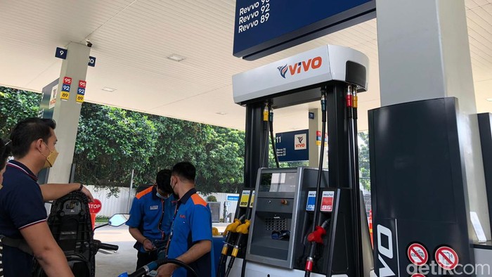spbu vivo