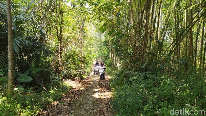 Suasana dusun mati, Puntingan, Kecamatan Tegalrejo, Kabupaten Magelang. Foto diunggah Senin (5/9/2022).