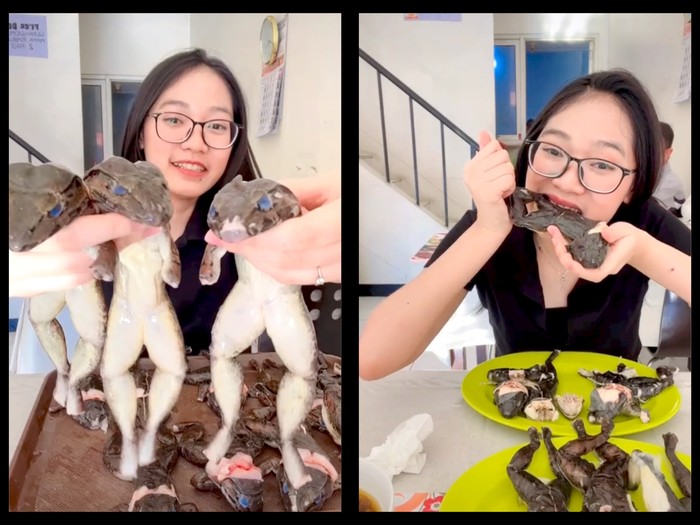 Viral Netizen Mukbang 1 Kg Katak Rebus, Ditonton 5 Juta Kali!