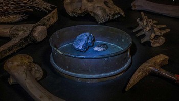 Britta Jaschinski memotret sepotong coltan, bersinar biru dalam cahaya obor, dikelilingi oleh peralatan pertambangan, tulang gorila dan duri landak, yang disita oleh otoritas bea cukai.  Foto: Wildlife Photographer of the Year