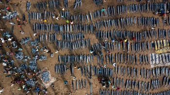 Srikanth Mannepuri menggunakan drone untuk mendapatkan pemandangan dari atas pasar untuk menunjukkan skala tangkapan marlin dan ikan layar hari itu oleh nelayan  di Teluk Benggala. Foto: Wildlife Photographer of the Year
