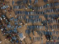 Karya Menakjubkan Peserta Kontes Foto Satwa Liar, Ada Lokasi di Indonesia