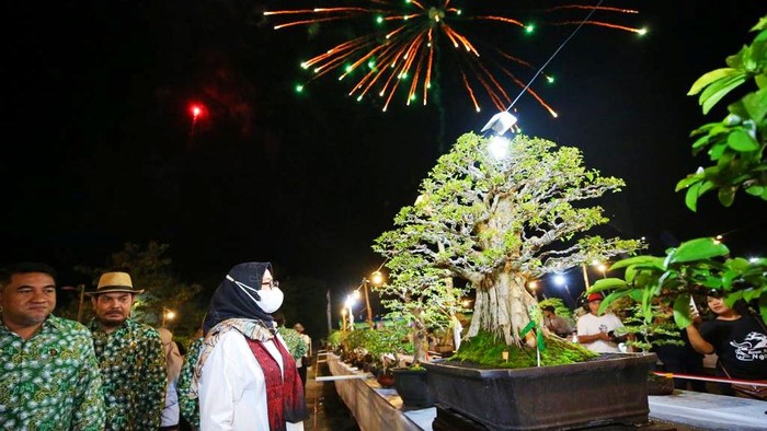 600 Bonsai Senilai Total Rp 25 Miliar Dipamerkan di Banyuwangi
