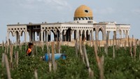 Bandara Internasional Yasser Arafat di Rafah, Jalur Gaza selatan, kini tinggal reruntuhan akibat serangan Israel. Lahan bandara yang hancur itu diubah menjadi perkebunan tomat oleh warga, Senin, (5/9/2022).