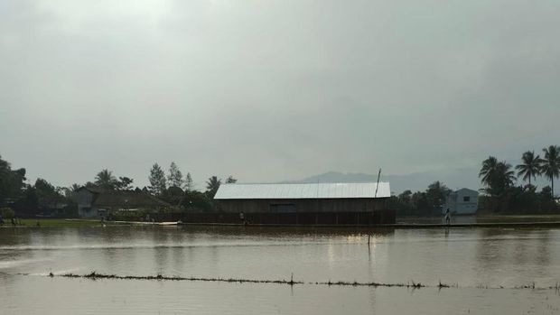 Banjir rendam puluhan hektar sawah dan rumah di Cibeber, Cianjur, Selasa (6/9/2022).
