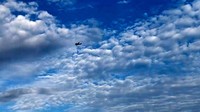 Entah apa yang dipikirkan Cory Wayne Patterson (29). Pemuda yang sehari-hari bekerja sebagai petugas bandara Tupelo itu berhasil membawa kabur pesawat bermesin ganda berjenis Beechcraft King Air C90A. Cory mengancam akan menabrakkan pesawat itu ke supermarket Walmart. (AP)