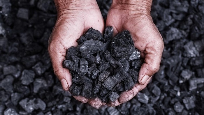 Coal mining - coal miner in the man hands of coal background. Picture idea about coal mining or energy source, environment protection. Industrial coals. Volcanic rock.