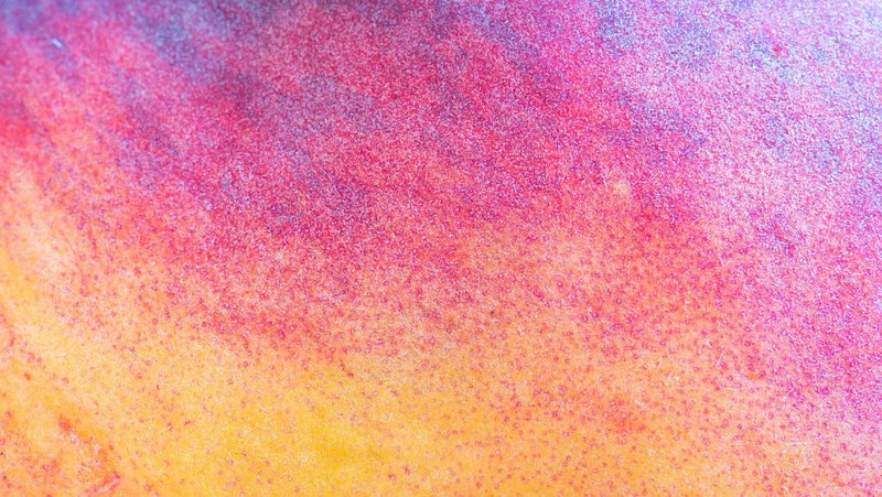 Fotografi makro adalah teknik memotret dengan lensa khusus dengan jarak sangat dekat dari objek untuk mendapatkan detail yang tinggi. Penasaran?