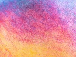 Foto Jepretan Lensa Makro, Hasilnya Memukau!