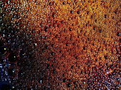 Foto Jepretan Lensa Makro, Hasilnya Memukau!