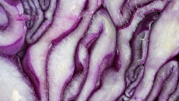 Pola abstrak ini merupakan kubis yang sudah dipotong dan dipotret menggunakan lensa makro pada 31 Mei 2017 lalu di Kanada.