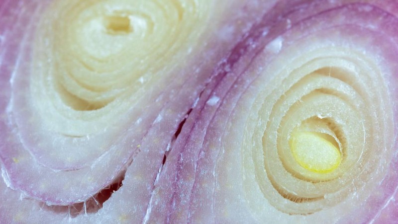 Fotografi makro adalah teknik memotret dengan lensa khusus dengan jarak sangat dekat dari objek untuk mendapatkan detail yang tinggi. Penasaran?