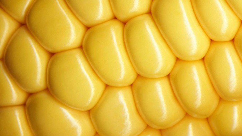 Fotografi makro adalah teknik memotret dengan lensa khusus dengan jarak sangat dekat dari objek untuk mendapatkan detail yang tinggi. Penasaran?