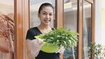 Keseruan Alisia Rininta Saat Bikin Kue hingga Petik Sayur