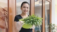 Ternyata Alisia juga hobi berkebun loh. Ini momennya ketika Alisia Rininta memetik sayuran yang ditanamnya. Foto: Instagram @alisiarininta22