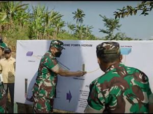 Saat KSAD dan Pangkostrad Panen Raya Jagung, Manfaatkan Lahan Tidur