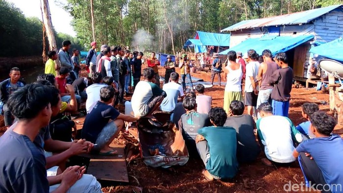 Lokasi pekerja diterkam harimau di Pelalawan, Riau.