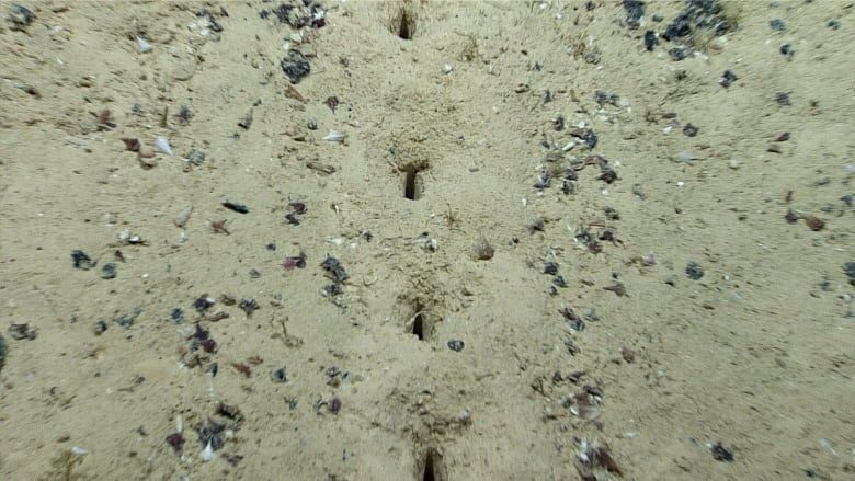 Lubang misterius di dasar laut