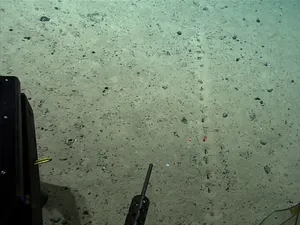 Temuan Lubang Misterius di Laut Dalam Bikin Ilmuwan Bingung