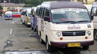 Tak hanya menggratiskan angkot Si Benteng dan Bus Tayo, Pemkot Tangerang juga segera mendistribusikan bibit tanaman seperti cabai dan juga tomat untuk ditanam di lahan Kelompok Wanita Tani (KWT) maupun di rumah.