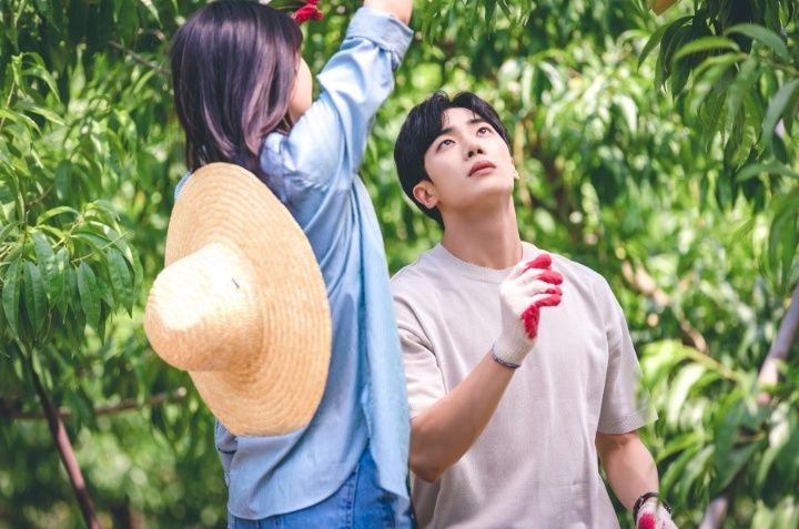 Once Upon a Small Town