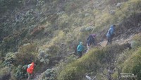 Perjalanan menuju puncak Buntu dan Watu Singa