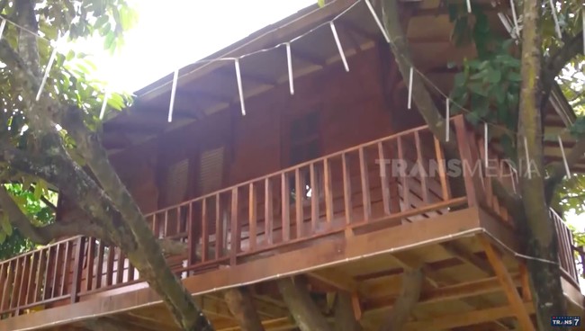 Di salah satu sudut halaman rumah Sutiyoso, berdiri sebuah rumah pohon. Ia ternyata sengaja mendirikan rumah tersebut untuk cucunya. (Foto: YouTube/Trans7 Official)