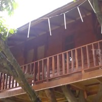 Di salah satu sudut halaman rumah Sutiyoso, berdiri sebuah rumah pohon. Ia ternyata sengaja mendirikan rumah tersebut untuk cucunya. (Foto: YouTube/Trans7 Official)