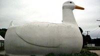Sebuah toko di kota New York, Amerika Serikat, memiliki bentuk seperti bebek. Toko tersebut menjual telur bebek dan barang-barang lainnya yang berkaitan dengan hewan tersebut. Atlasobscura by Allison Meier.