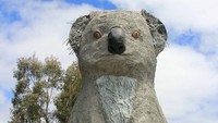 Koala raksasa berdiri di kawasan Victoria, Australia. Bangunan setinggi 14 meter ini dibuat oleh pemahat Ben Van Zetton dengan tujuan untuk menyadarkan warga akan populasi Koala yang kian menyusut. Atlasobscura by KnitSpirit.