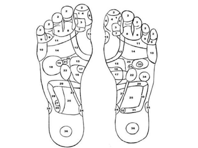 Ilustrasi lokasi titik refleksi pada kaki dan manfaatnya.