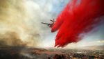 Aksi Helikopter hingga Pesawat Padamkan Kebakaran Hutan California