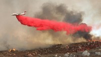 California berada di tengah gelombang panas yang ganas, dengan suhu 110 Fahrenheit (43 Celcius) tercatat di beberapa daerah. Hal Itu ditambah parah dengan kekeringan dua dekade yang membuat pedesaan kering hingga menciptakan kondisi ideal untuk kebakaran hutan yang eksplosif.