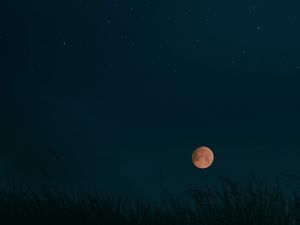 Fenomena Harvest Moon di Langit September 2022, Ini Keistimewaannya