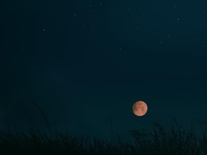 Daftar Fenomena Langit September 2026 Lengkap Penjelasannya