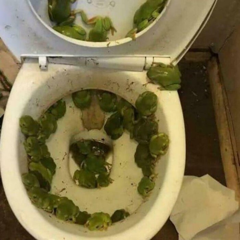 Foto membingungkan yang bikin penasaran