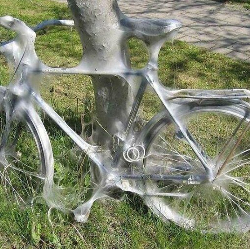 Foto membingungkan yang bikin penasaran