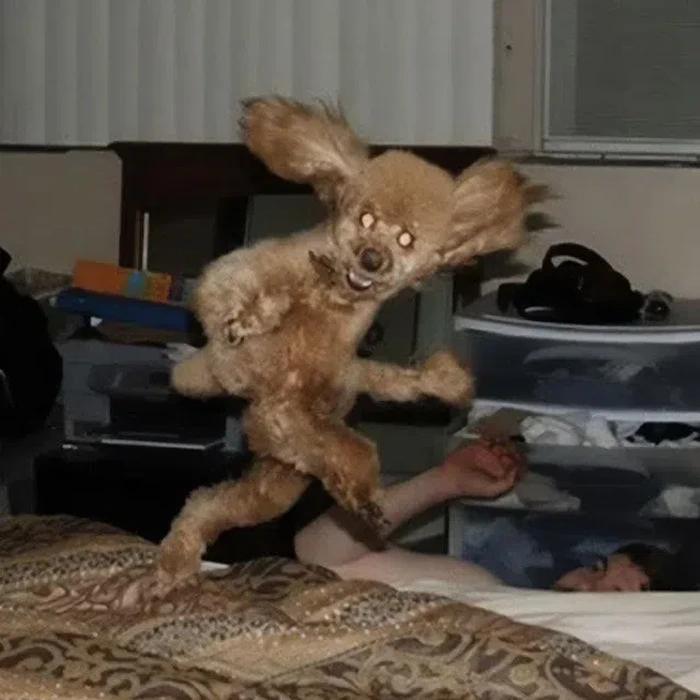 Foto membingungkan yang bikin penasaran