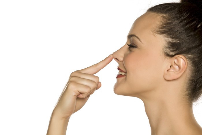 hidung