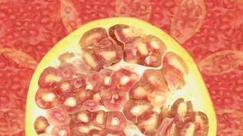 Ada yang bisa tebak? Ya, ini adalah buah delima yang sudah dibelah. Lensa mekro membuat buah berwarna merah ini terlihat menyerupai lukisan. Foto delima ini diambil pada 1 Januari 2015 lalu.