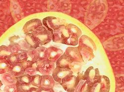 Ini Dia Foto Jepretan Lensa Makro Seindah Lukisan