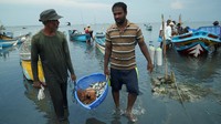 Selama berbulan-bulan tidak ada bahan bakar sama sekali di Mannar karena cadangan devisa negara itu mengering dan tidak dapat mengimpor minyak mentah untuk kilangnya.