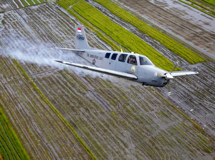 Pesawat Bonanza G-36 yang digunakan oleh TNI AL jatuh di Selat Madura, Rabu (7/9/2022) sekitar pukul 09.30 WIB. Berikut spesifikasi pesawat Bonanza G-36 itu.