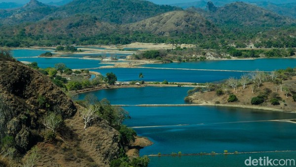 Ada hamparan tambak yang berubah layaknya danau. Warna biru mencolok berpadu dengan langit yang cerah. Ada hamparan tambak yang berubah layaknya danau. Warna biru mencolok berpadu dengan langit yang cerah.Â