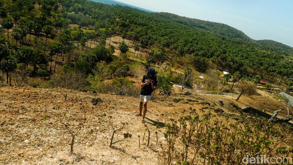 Di bagian lain, travelers bisa berfoto dengan spot bukit batu yang keren dan sekilas ada gundukan yang mirip Gunung Barujari di Taman Nasional Gunung Rinjani.  Di bagian lain, travelers bisa berfoto dengan spot bukit batu yang keren dan sekilas ada gundukan yang mirip Gunung Barujari di Taman Nasional Gunung Rinjani. Â
