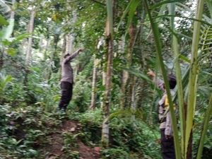 Diduga Depresi, Lansia di Karangasem Gantung Diri di Pohon Durian
