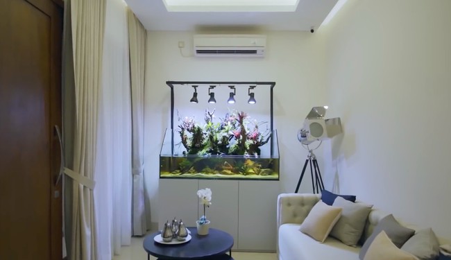 Hadir aquarium unik di salah satu sudut kamar mereka sehingga tak terasa monoton meski cat dinding berwarna putih polos. (Foto: YouTube/Rakta Studio)