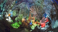 Dari Vietnam, ada sebuah gua warna-warni di Teluk Halong. Gua ini merupakan Situs Warisan Dunia UNESCO sekaligus destinasi populer.
