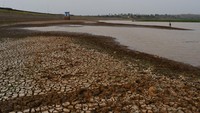 Kondisi Waduk Dawuhan yang airnya menyusut di Kabupaten Madiun, Jawa Timur, Selasa (6/9/2022).